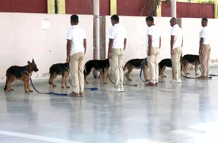 Super-Sniffer Dogs Are Being Trained To Protect Newly-Transferred Cheetahs from Poachers In India