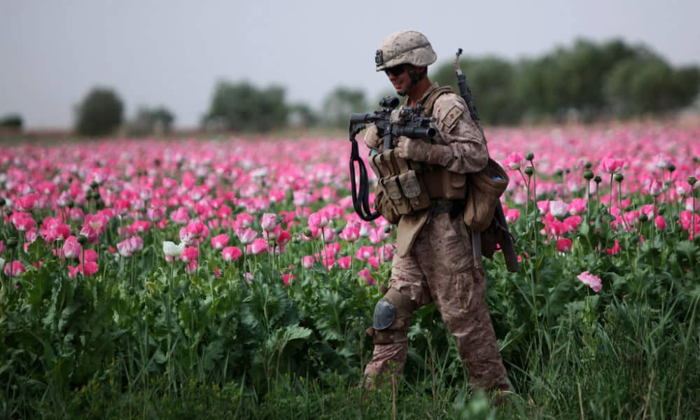 After Declaring Opioid Crisis A National Emergency, Trump Sends More Troops To Guard Afghan Poppies